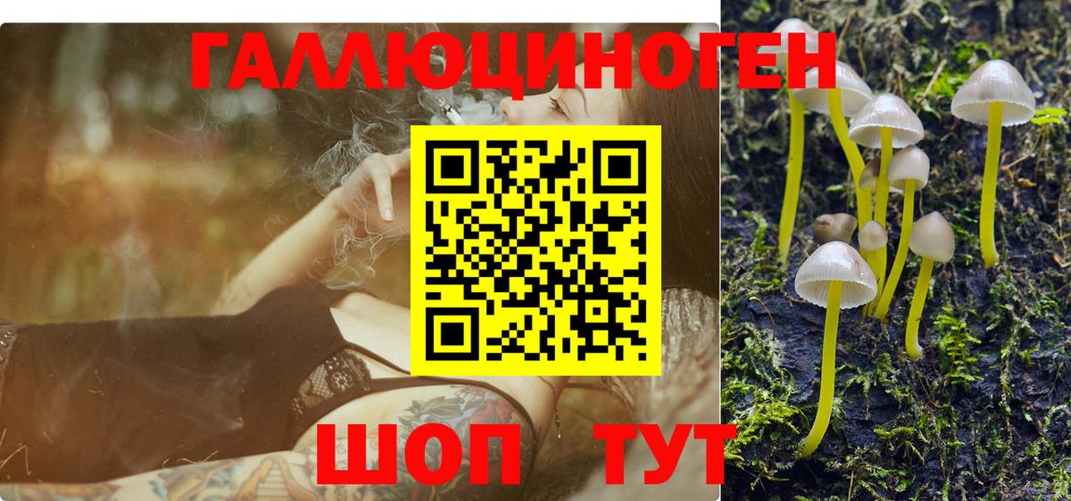 Псилоцибиновые грибы Magic Shrooms  Псилоцибиновые грибы Cubensis  Заводоуковск  Вход с VPN 