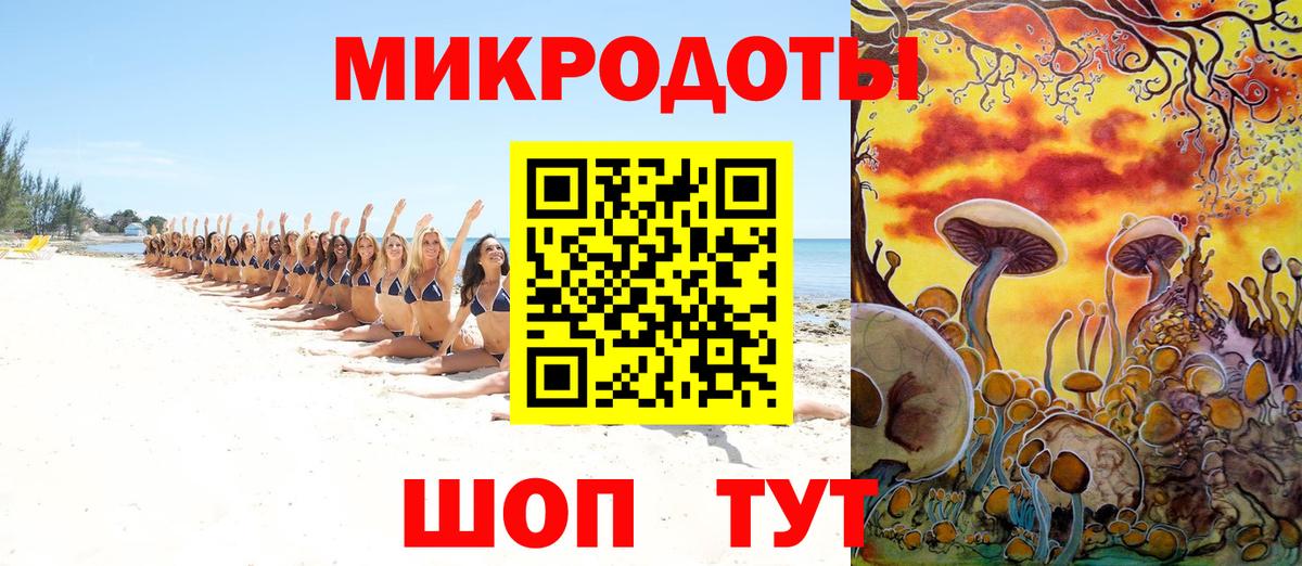 Галлюциногенные грибы мухоморы Заводоуковск
