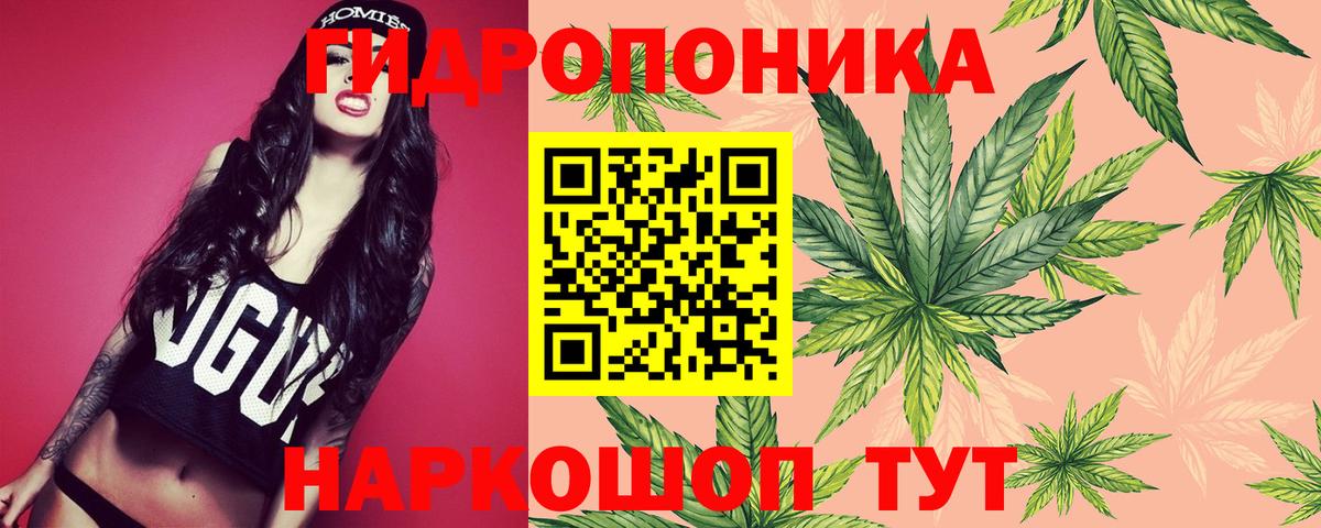 Каннабис тримм  Вход с VPN  Заводоуковск  МАРИХУАНА White Widow  Бошки марихуана сатива  Бошки марихуана THC 21% 